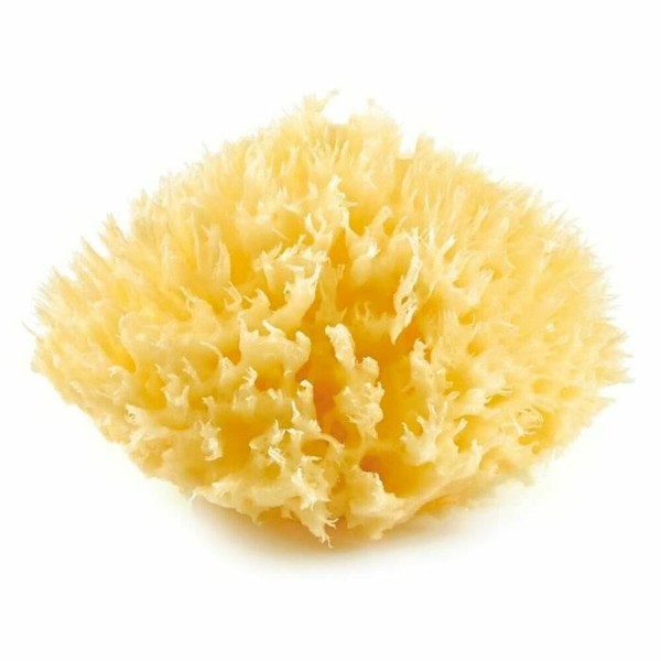 Body Sponge ThermoBaby Yellow