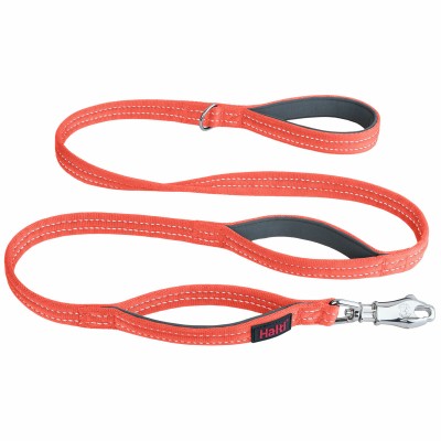 Training lead Company of...