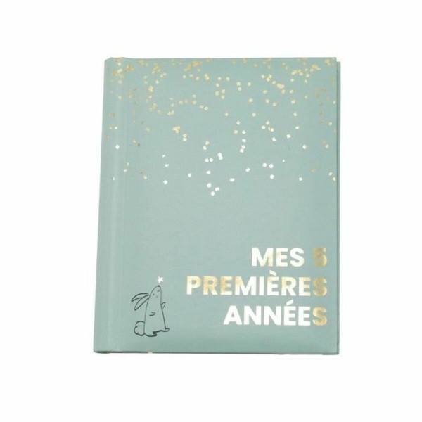 Albumas Domiva Mes 5 premieres annees