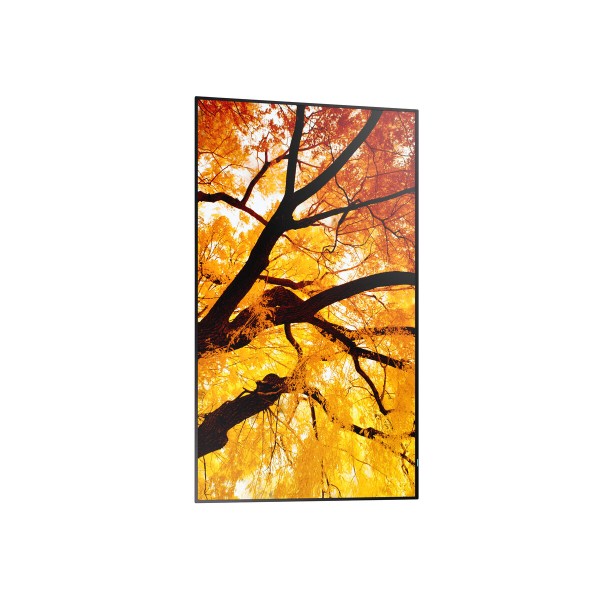 Videowall Monitorius Sharp 60006052 Full HD 32"