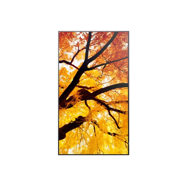 Videowall Monitorius Sharp 60006053 4K Ultra HD 42,5"