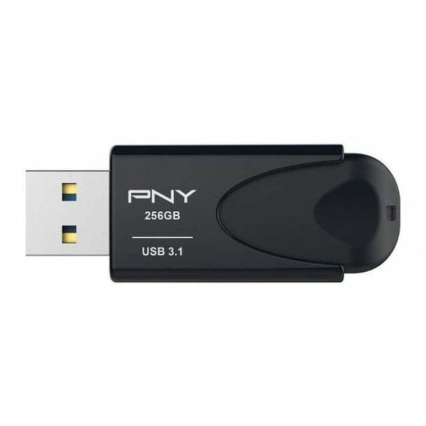 Память RAM PNY Attache 4 Чёрный 256 GB