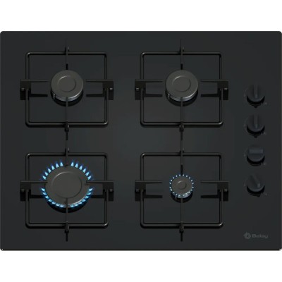 Induction Hot Plate Balay...