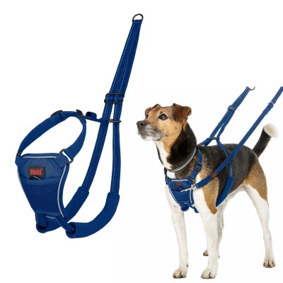 Dog Harness Company of...