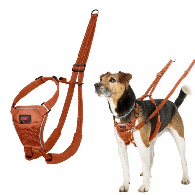 Dog Harness Company of...
