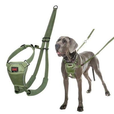 Dog Harness Company of...