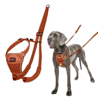 Dog Harness Company of...