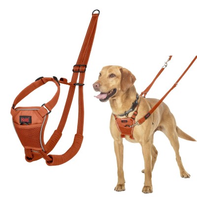 Dog Harness Company of...