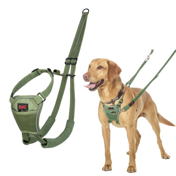 Dog Harness Company of Animals FOREST Green 12