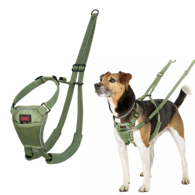 Dog Harness Company of...