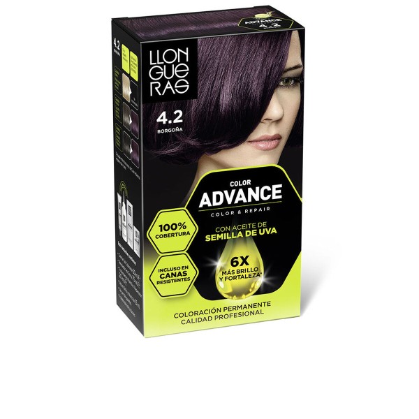 Permanent Colour Llongueras COLOR ADVANCE Nº 4,2-Borgona