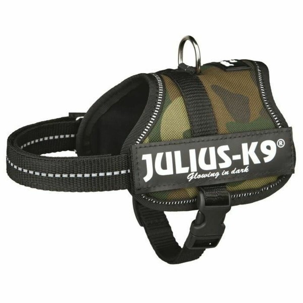 Koera rakmed Julius K9