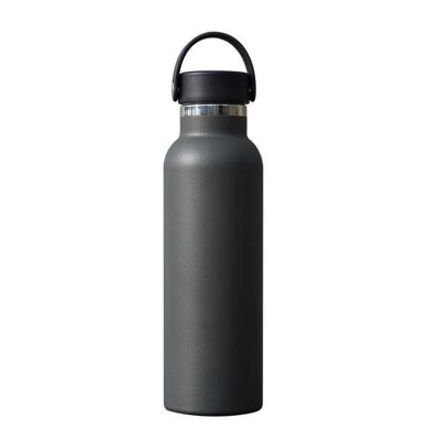 Water bottle Safta Carbon