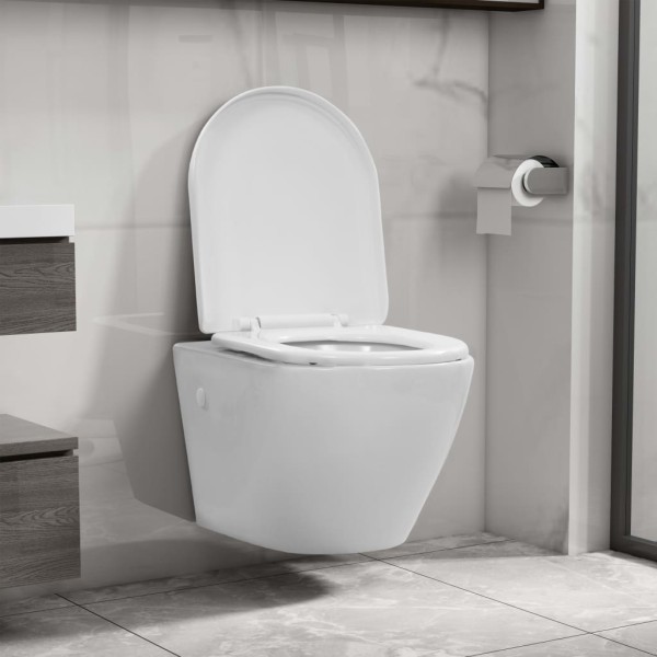 Suspended toilet, white, ceramic, without frame
