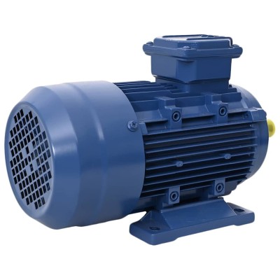 Three-phase electric motor,...