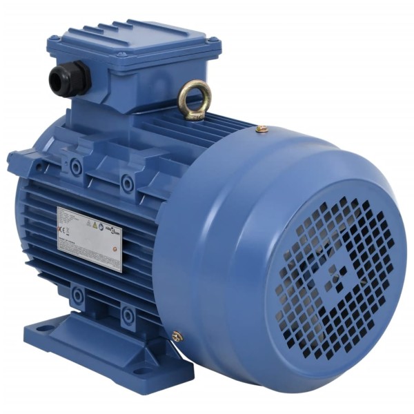 Trifazis elektros variklis, 4kW/5,5AG, 2 polių, 2840aps./min.
