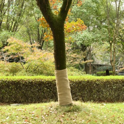 Jute Roll, 1x50m, 100%...