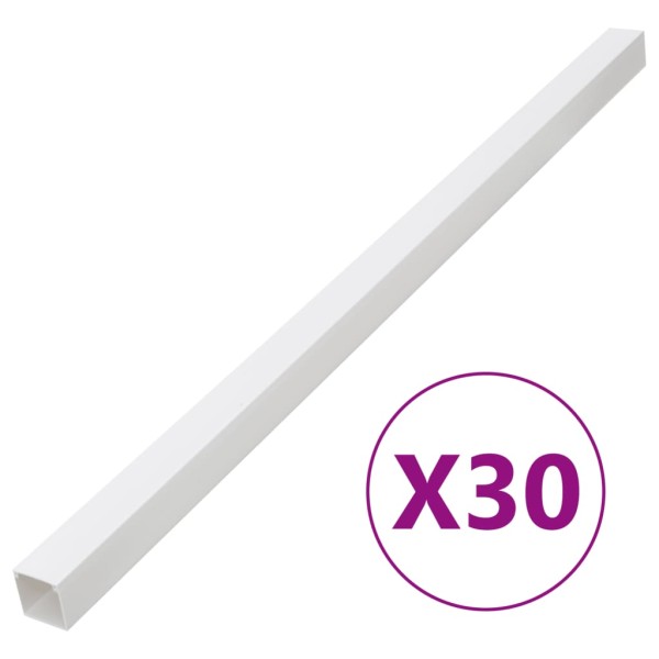 Cable Channel, 100x60mm, 30m, PVC