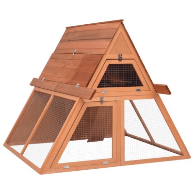 Cage in rabbits,...