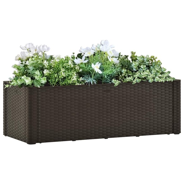 Bed with self-watering system, pays, 100x43x33cm