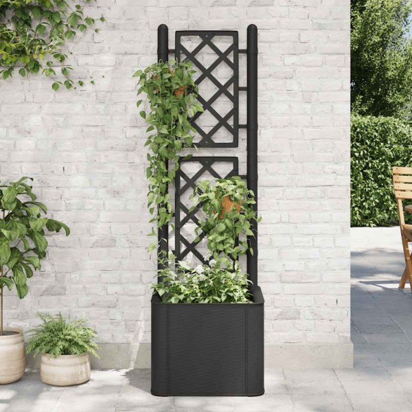 Lowell with treilage and self-watering system, anthracite