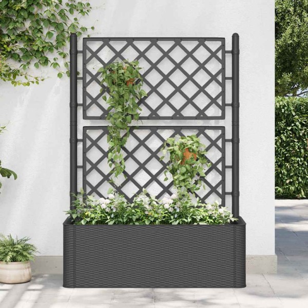 Lowell with treilage and self-watering system, anthracite