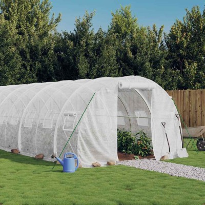 Greenhouse with steel...