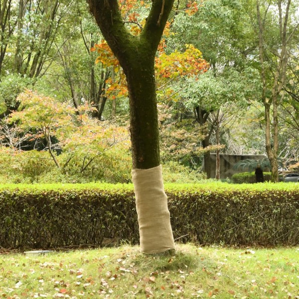 Jute rolls, 2pcs., 1x50m, 100% Jute, 200g / m ²