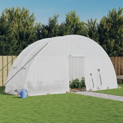 Greenhouse with steel...