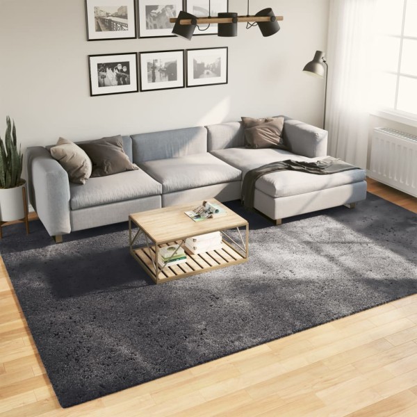 Carpet HUARTE, anthracite, 240x340 cm, short bristles