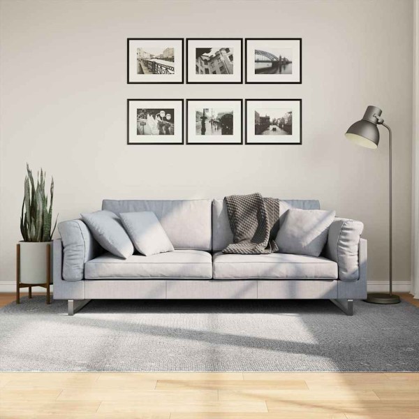 Carpet IZA, grey, 160x230cm, short bristles