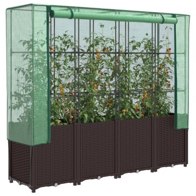 Raised beds with greenhouse...
