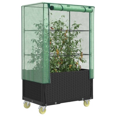Raised bed with cover and...