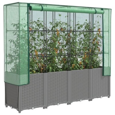 Raised beds with greenhouse...
