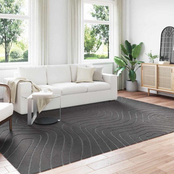 zoning carpet HUARTE Anthracite 280 x 200 cm