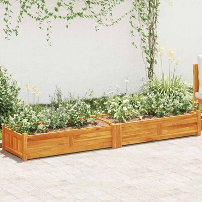 Lovel for plants, acacia,...