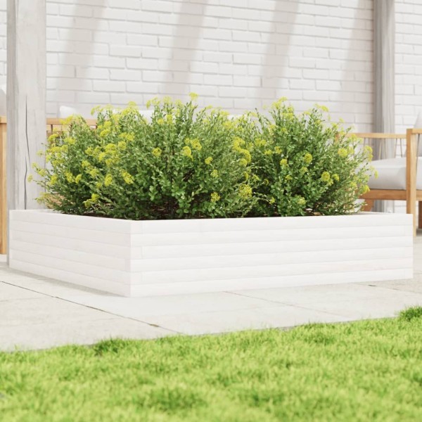 Garden bed, white, 110x110x23cm, pine wood array
