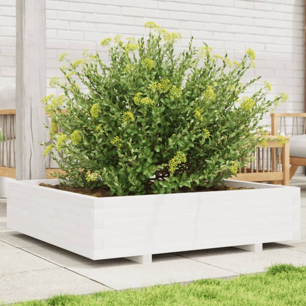 Garden bed, white, 100x100x26,5cm, pine wood array