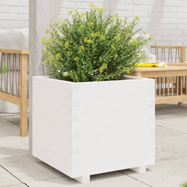 Garden bed, white, 60x60x49,5cm, pine wood array