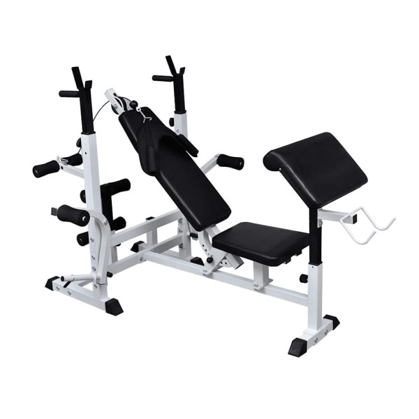 Squirrel bench for various exercises