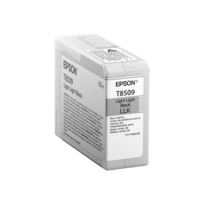 Epson T850900 | Ink...