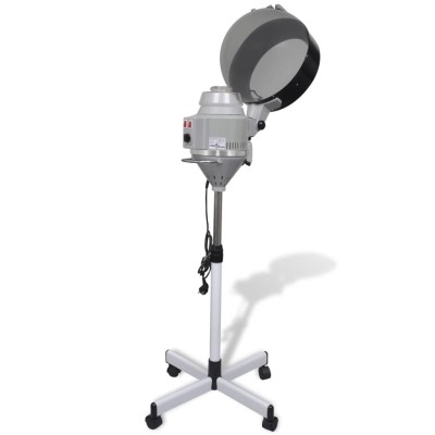 Hair Steamer on Wheels