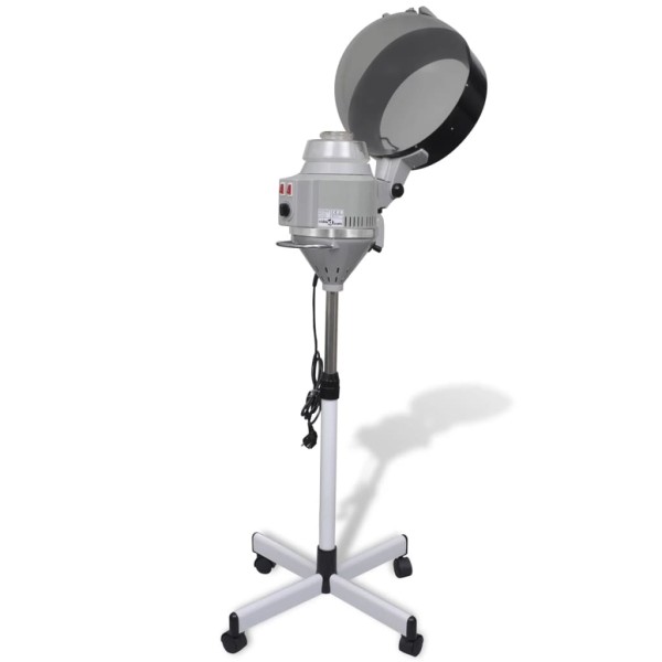 Hair Steamer on Wheels