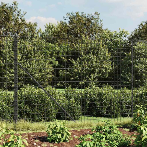 Wire mesh fence with spikes, anthracite color, 1.4x25m