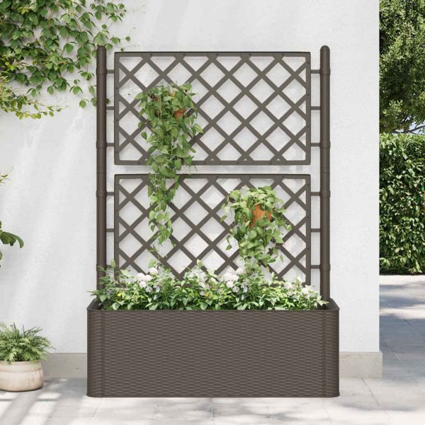 Trough with trellis and self-watering system, paid