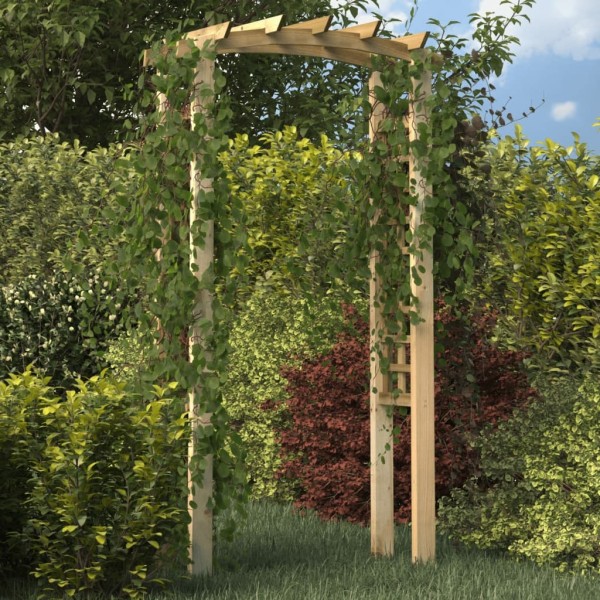 Treliažas-arka, 110x60x210 cm, impregnated pine array