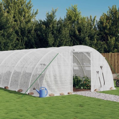 Greenhouse with steel...