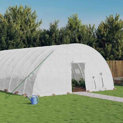 Greenhouse with steel...