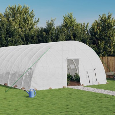 Greenhouse with steel...