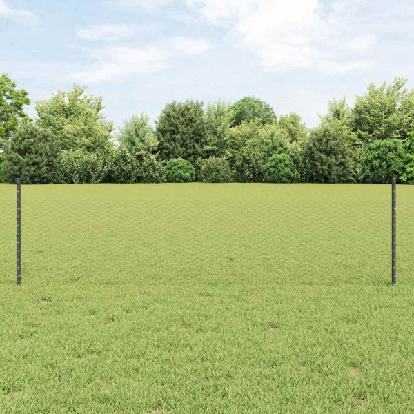 Fence with poles Gray